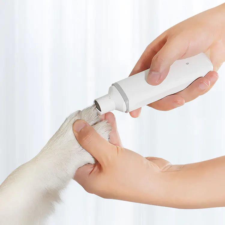 Someone uses a Pawbby Pet Nail Grinder to trim a dog's nails against a light, blurred background.