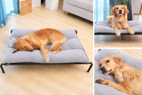 Comfy Wash Pet Bed