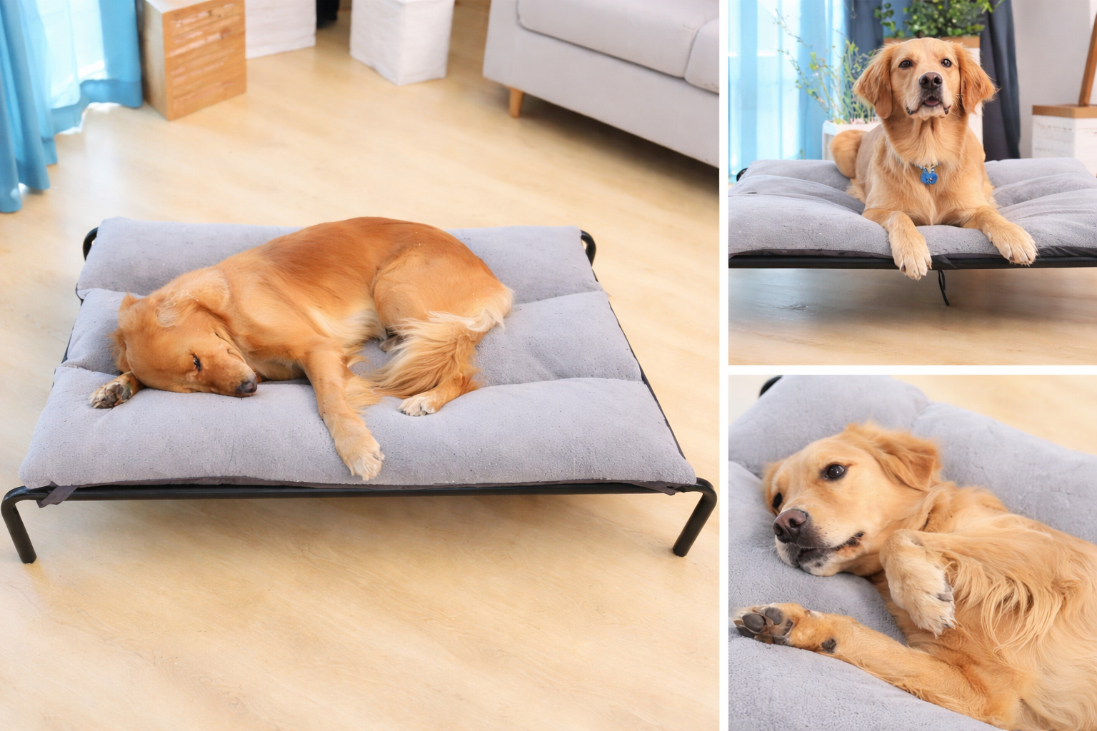 Comfy Wash Pet Bed