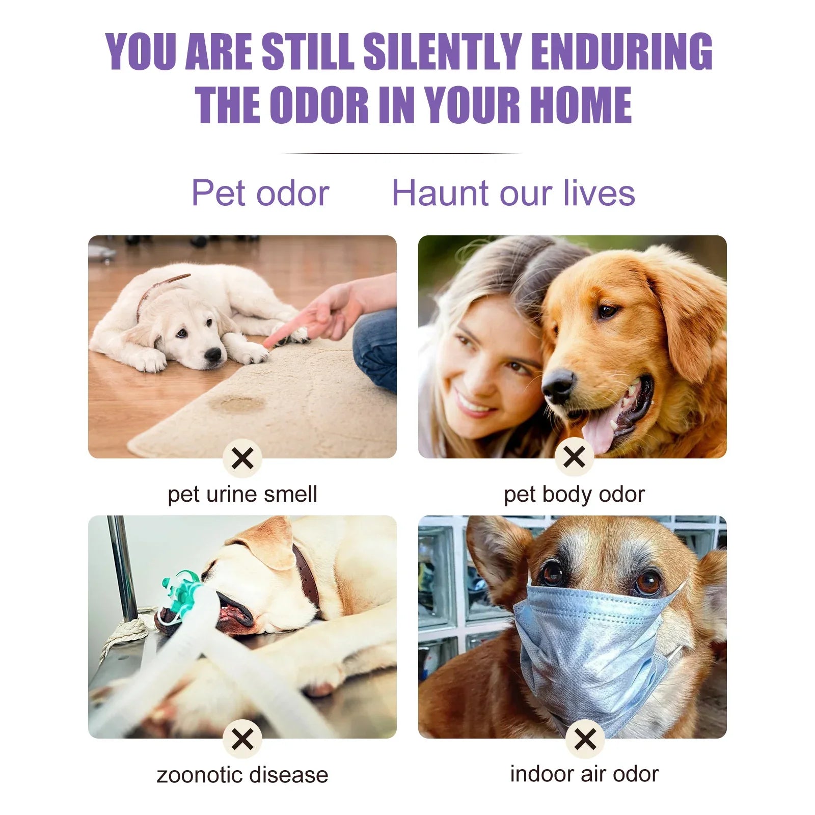 Pet odor problems infographic showing pet urine smell, pet body odor, zoonotic risk, and indoor air odor.