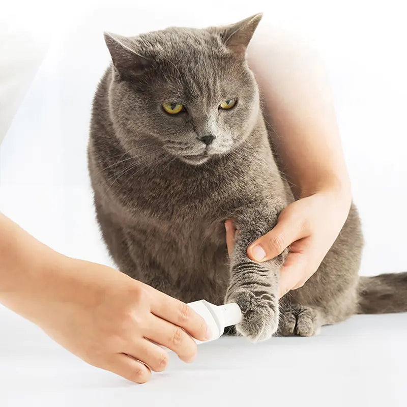 A person gently cleans a gray cat’s paw with a white pet paw cleaner, while the Pawbby Pet Nail Grinder rests nearby. The cat sits calmly as its paw and the cleaning device are held by the person’s hands.