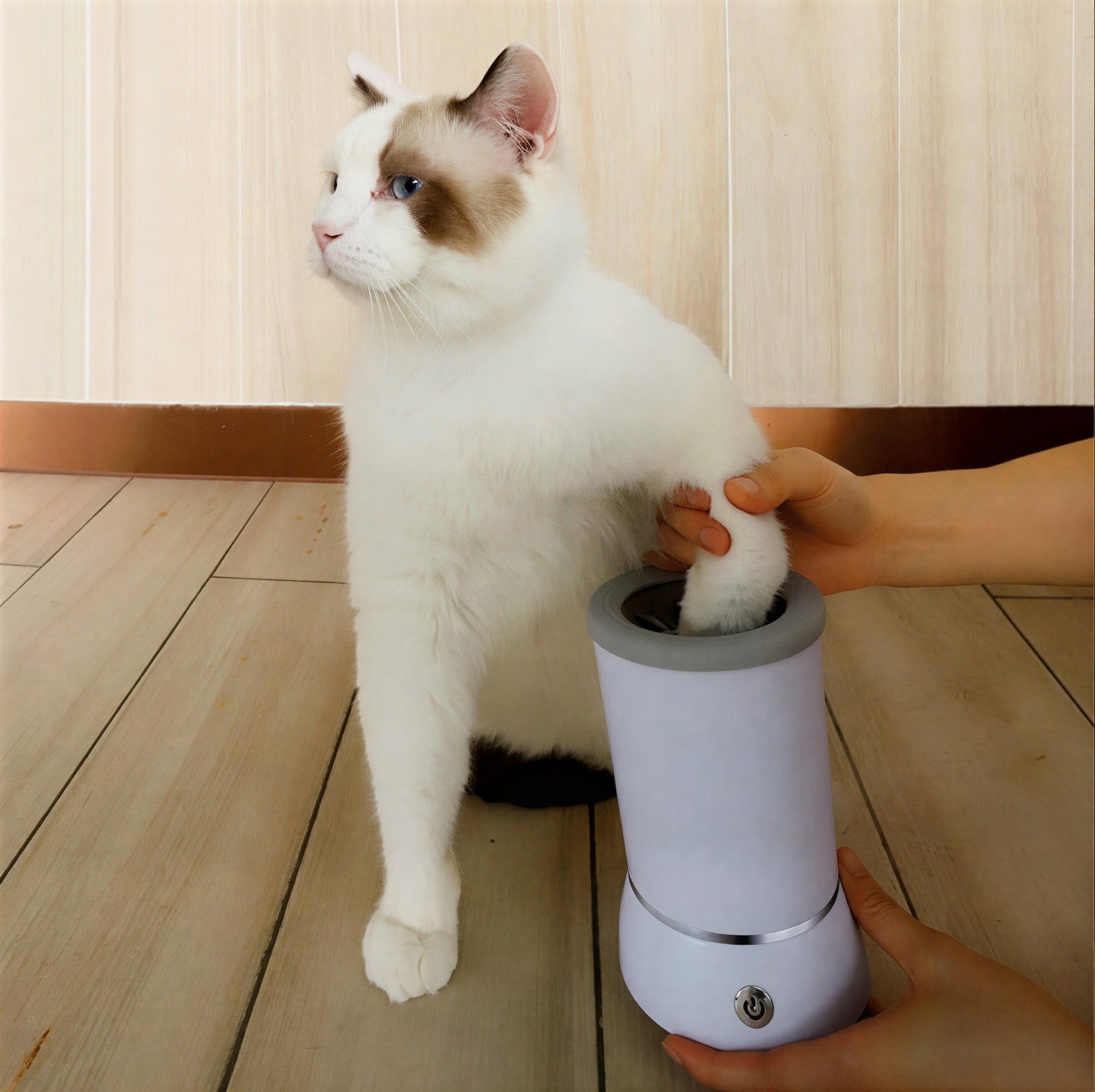 AutoPaw