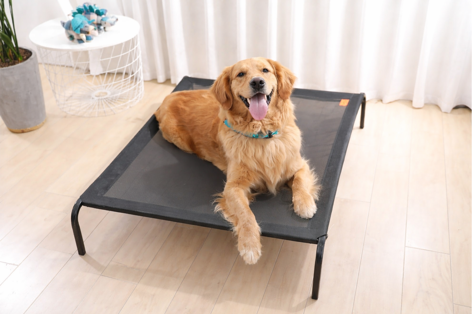 Comfy Wash Pet Bed