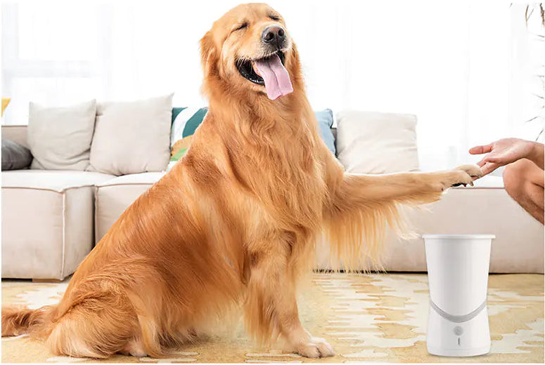 A happy golden retriever sits indoors with its paw raised to a person’s hand. An Electric Pet Paw Washer with motorized silicone bristles is in front of the dog, and a beige sofa can be seen in the background.
